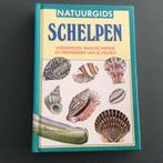Natuurgids schelpen, Ophalen of Verzenden, Zo goed als nieuw, Overige onderwerpen