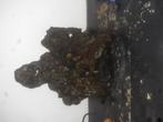 Levend steen diverse afmetingen, Dieren en Toebehoren, Ophalen, Plant(en), Steen of Hout