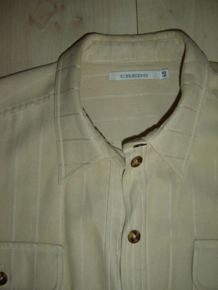 Dames créme bloes met glans strepen, maat 46, merk credo, Kleding | Dames, Blouses en Tunieken, Gedragen, Maat 46/48 (XL) of groter