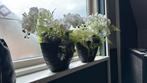 2 potten met kunstbloemen orchidee, Ophalen, Zo goed als nieuw