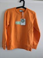 Nieuwe oranje trui Raizzed maat 152, Trui of Vest, Nieuw, Ophalen of Verzenden, Raizzed