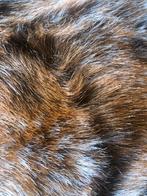 Bruine pluche stof, Overige materialen, 120 cm of meer, Nieuw, Ophalen of Verzenden