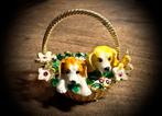 Puppy puppies in bloemen mand curiosa sieraden doosje dier, Antiek en Kunst, Verzenden