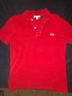 Lacoste rode polo maat XS, Kleding | Heren, Polo's, Ophalen of Verzenden, Zo goed als nieuw, Maat 46 (S) of kleiner, Rood