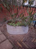 Brocante zinken teilen groot, Ophalen, Gebruikt, 40 cm of meer, Tuin