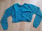 nieuwe glitter bolero, maat 98/104, Ophalen of Verzenden, Nieuw, Meisje, Trui of Vest