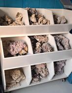 Aquarium steen voor het zeeaquarium, Ophalen of Verzenden, Zo goed als nieuw, Plant(en), Steen of Hout