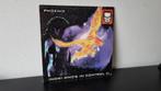 Ruffneck LP Phoenix (Now) who's in control?, Cd's en Dvd's, Vinyl | Dance en House, Gebruikt, Ophalen of Verzenden, 12 inch