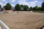 Pensionstalling Verberktshoeve te Sambeek, Weidegang, 2 of 3 paarden of pony's