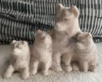 Vintage Aarktik Husky Family Sculptuur, Verzamelen, Beelden en Beeldjes, Ophalen of Verzenden, Gebruikt, Dier
