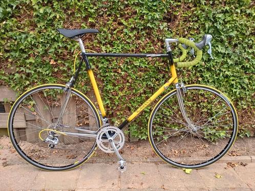 Opgeknapte Rogianni racefiets 65 cm, Fietsen en Brommers, Fietsen | Racefietsen, Overige merken, Staal, Ophalen