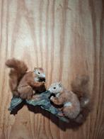Opgezette eekhoorns  taxidermie, Ophalen of Verzenden, Vogel, Opgezet dier