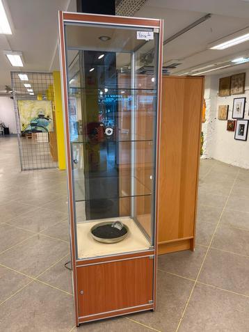 Siletsy Vitrinekast - Professionele Kwaliteit beschikbaar voor biedingen