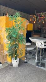 Kunstplant 200 cm, Ophalen, ., Zo goed als nieuw, .