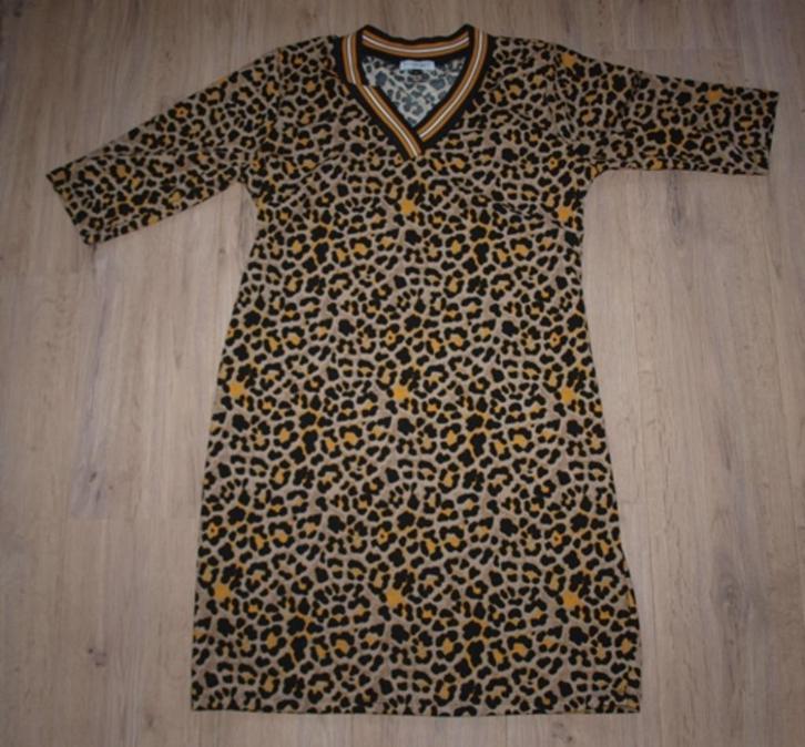 Panterprint Jurk True Spirit (XL), Kleding | Dames, Jurken, Gedragen, Maat 46/48 (XL) of groter, Zwart, Knielengte, Ophalen of Verzenden