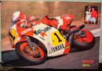 A3 Poster Eddie Lawson Yamaha YZR 500, Verzenden, Zo goed als nieuw, Motoren