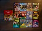 Lekturama Sprookjes boeken + cassettebandjes, Ophalen of Verzenden, Gelezen