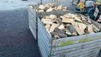Vers gekloofd haardhout 4m3, Tuin en Terras, Haardhout, Minder dan 3 m³, Ophalen, Overige houtsoorten, Blokken