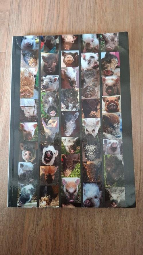 Het grote kleine varkenshandboek - Ragnild Diepens, Dieren en Toebehoren, Schapen, Geiten en Varkens, Schaap, Meerdere dieren