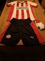 PSV thuis tenue volwassenen maat L, Sport en Fitness, Voetbal, Maat L, Ophalen of Verzenden, Nieuw, Shirt