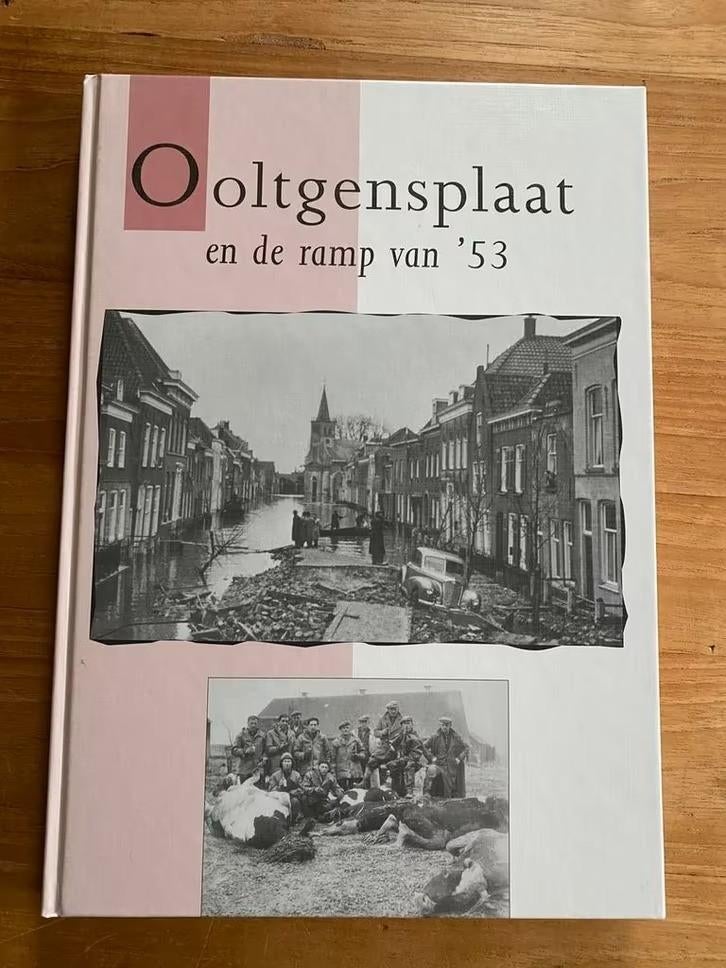 Ooltgensplaat en de ramp van ‘53. J. Bruijns, Boeken, Geschiedenis | Stad en Regio, Zo goed als nieuw, Ophalen of Verzenden