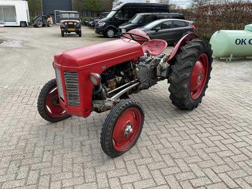 1950 Massey ferguson Tef 20 Oldtimer tractor “diesel”, Zakelijke goederen, Agrarisch | Tractoren, Massey Ferguson, Oldtimer