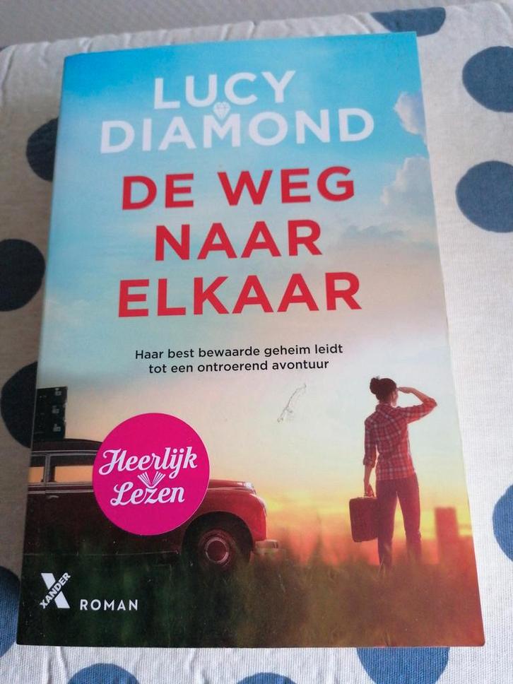 De weg naar elkaar van Lucy Diamond, Boeken, Romans, Gelezen, Ophalen of Verzenden