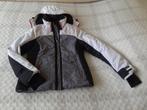 aparte winterjas / ski jas Falcon maat L, Kleding | Dames, Jassen | Winter, Ophalen, Maat 42/44 (L), Gedragen, Falcon
