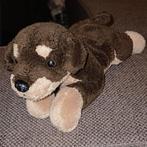 Hema beanie hondje., Kinderen en Baby's, Speelgoed | Knuffels en Pluche, Ophalen of Verzenden, Zo goed als nieuw, Hond