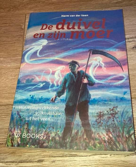 Harm van der Veen - De duivel en zijn moer, Boeken, Geschiedenis | Stad en Regio, Zo goed als nieuw, Ophalen of Verzenden