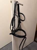 Première hoofdstel, Ophalen of Verzenden, Gebruikt, Dressuur