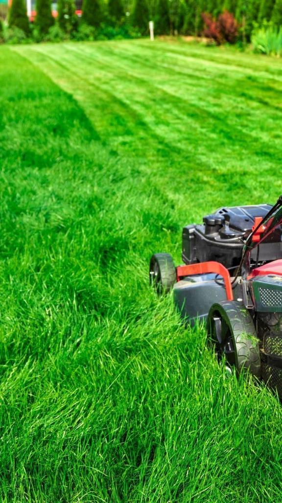 Ervaren hovenier gezocht – projecten in Drenthe, Diensten en Vakmensen, Tuinmannen en Stratenmakers, Bestrating