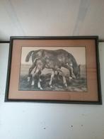 Antieke lijst met paardenprent/foto in passe partout, Ophalen of Verzenden