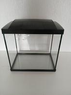 Superfish Aqua 30 LED Tropical kit, Ophalen, Gebruikt, Leeg aquarium
