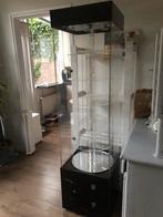 Plastic vitrinekast. Elektrisch ronddraaien €40, Ophalen, Zo goed als nieuw, 25 tot 50 cm, 50 tot 100 cm