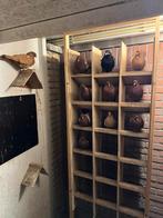 Nederlandse hoogvliegers, Meerdere dieren