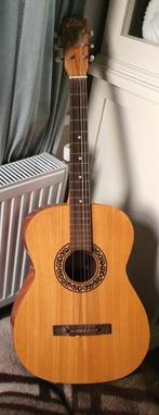 Eko gitaar, Ophalen, Gebruikt