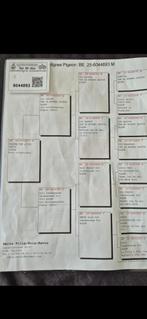 Doffer, Dieren en Toebehoren, Vogels | Duiven, Mannelijk, Postduif