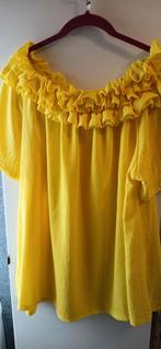 Diverse nieuwe kleding mt 46, Kleding | Dames, Tops, Overige kleuren, Maat 46/48 (XL) of groter, Nieuw, Ophalen of Verzenden