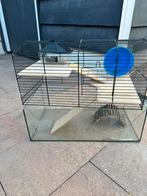 hamsterkooi hamsterkooi mini hamster als nieuw enkel ophalen, Kooi, Minder dan 75 cm, Hamster, Zo goed als nieuw