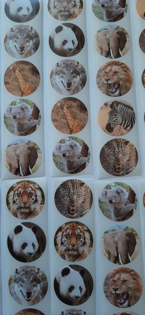 Nr.  103 :   80 stuks dieren stickers., Hobby en Vrije tijd, Stickers en Plaatjes, Nieuw, Meerdere stickers, Ophalen of Verzenden