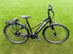 Pegasus Tecaro evo elektrische damesfiets belt drive ebike, Gebruikt, Niet ingevuld, Ophalen of Verzenden, 51 tot 55 cm