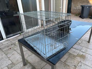 Honden bench beschikbaar voor biedingen