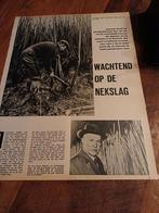 Artikel over de Biesbosch griendbedrijf 1961, Ophalen of Verzenden, 1960 tot 1980, Knipsel(s)