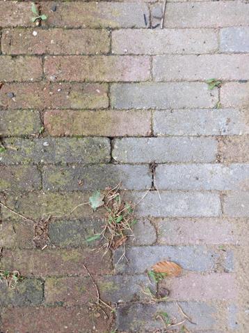 gratis +/- 25m2 getrommelde betonklinkers waalformaat beschikbaar voor biedingen
