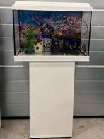 Juwel primo 60 Liter aquarium (met onderkast en toebehoren), Ophalen, Gebruikt, Leeg aquarium