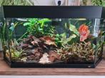 Aquarium Juwel Vision(oude type) met veel accessoires, Ophalen, Gebruikt, Gevuld zoetwateraquarium
