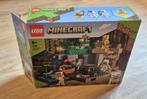 LEGO Minecraft – The Skeleton Dungeon (21189), Ophalen of Verzenden, Zo goed als nieuw, Complete set, Lego