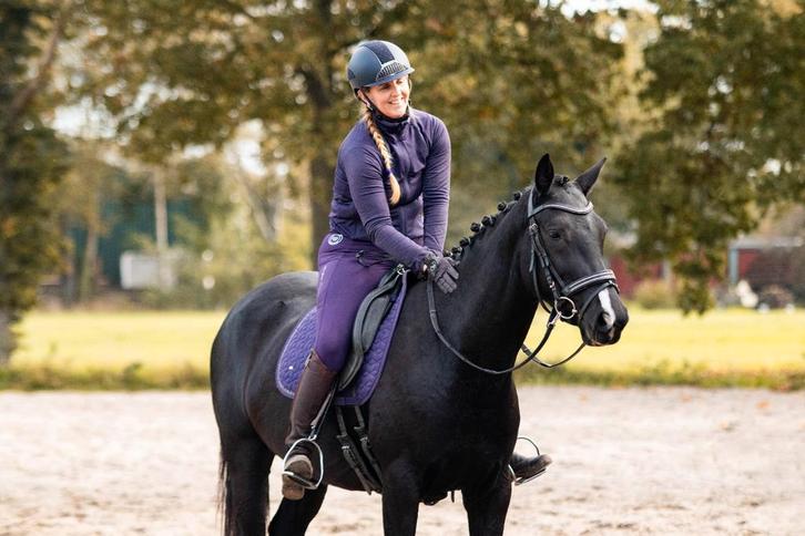 Lieve 4 jarige KWPN merrie van Just Whimphof 1.63m, Dieren en Toebehoren, Paarden, Merrie, Zadelmak, 160 tot 165 cm, 3 tot 6 jaar