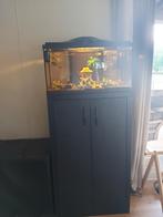 Prachtig aquarium inclusief kast!, Ophalen, Zo goed als nieuw, Filter of Co2